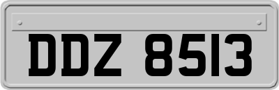 DDZ8513