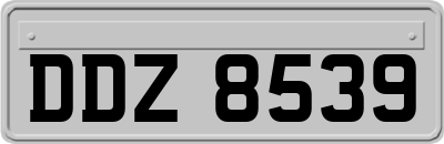DDZ8539