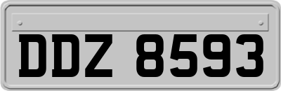 DDZ8593