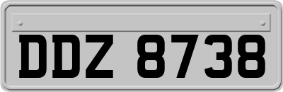 DDZ8738