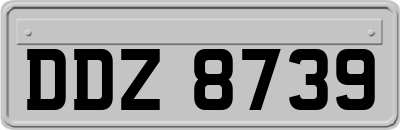 DDZ8739