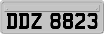 DDZ8823