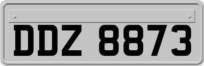 DDZ8873