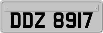 DDZ8917