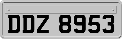 DDZ8953