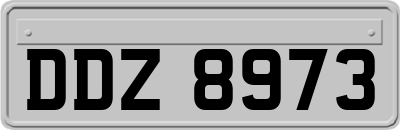 DDZ8973
