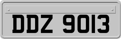 DDZ9013