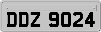 DDZ9024