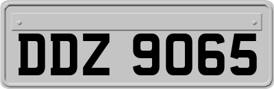 DDZ9065