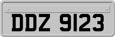 DDZ9123