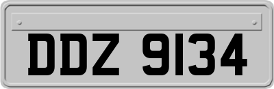 DDZ9134