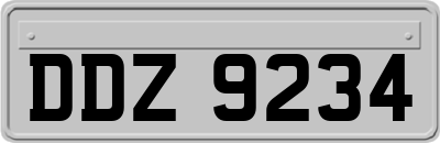 DDZ9234