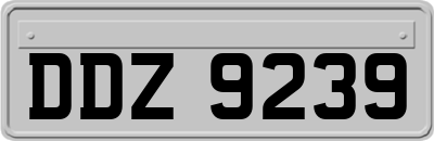 DDZ9239