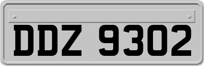 DDZ9302
