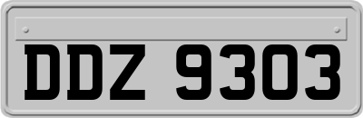 DDZ9303