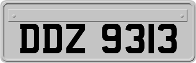 DDZ9313