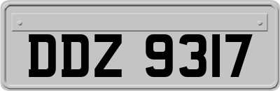 DDZ9317