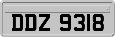 DDZ9318