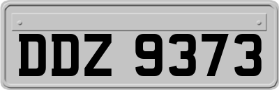 DDZ9373