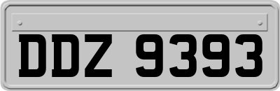 DDZ9393