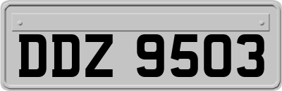 DDZ9503