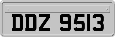 DDZ9513