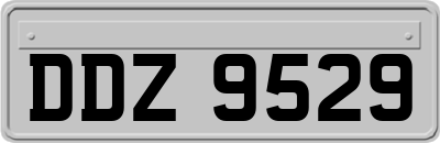 DDZ9529