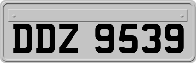 DDZ9539