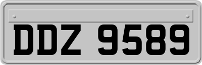 DDZ9589