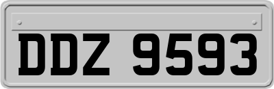 DDZ9593