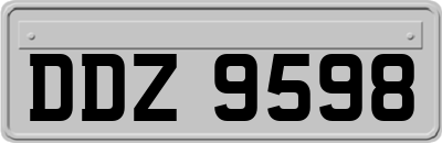 DDZ9598