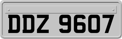 DDZ9607