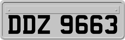 DDZ9663