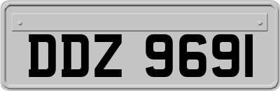 DDZ9691