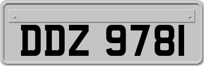 DDZ9781
