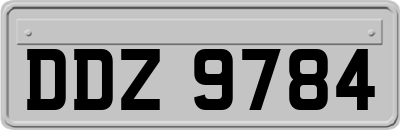 DDZ9784