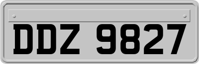 DDZ9827