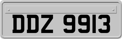 DDZ9913