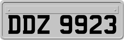 DDZ9923