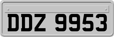DDZ9953