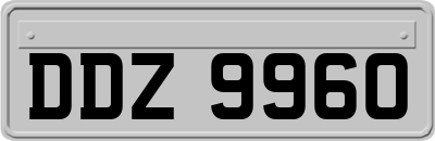 DDZ9960