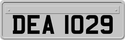 DEA1029