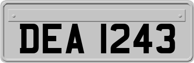 DEA1243