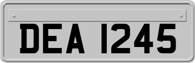 DEA1245