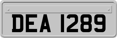 DEA1289