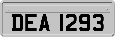 DEA1293