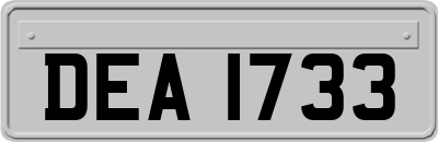 DEA1733