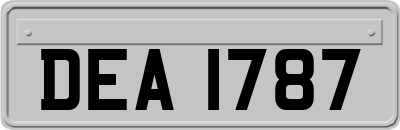 DEA1787