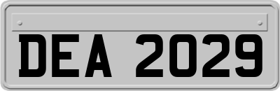 DEA2029