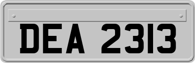 DEA2313